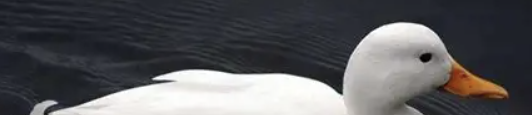 640 (3).png